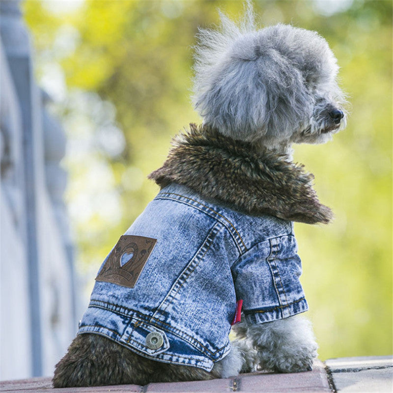 Denim Dog Clothes Winter Fur Collar Dog Coat Thick Warm Pet Clothes Jeans Coat for Small Pets Cat and Dog Bichon Chihuahua Yorki