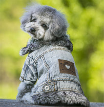 Load image into Gallery viewer, Denim Dog Clothes Winter Fur Collar Dog Coat Thick Warm Pet Clothes Jeans Coat for Small Pets Cat and Dog Bichon Chihuahua Yorki
