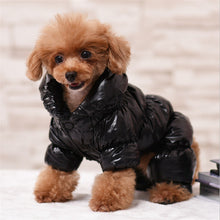 Load image into Gallery viewer, Warm Winter Dog Clothes Fur Collar Thicken Cotton Padded Pet Jacket Coat for Small Medium Dogs chihuahua Yorkie Bulldog XS-3XL
