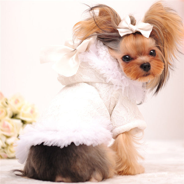 Mr Michael Girl Dog Clothes Winter Female Dog Coat Cute Lace Fleece Lined Warm Dog Jacket Chihuahua Yorkshire Winter Dog Clothes