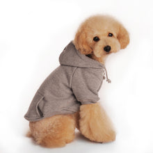 Load image into Gallery viewer, 2016 Newest Quality&amp;Classical Plain Dog Hoodies with Kangroo Pocket Solid Dog Sweatshirt Cotton Dog Blank Hoodies FREE SHIPPING
