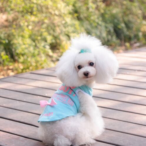 New Arrival High Quality Letter Small Dog Vest Shirt Pet T-shirt for Female Dog with Satin Ribbon BowFREE SHIPPING