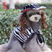 Load image into Gallery viewer, Dog Clothes Dog Cape w/Curly Hair Hat Set Small Dog Clothes
