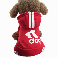 Load image into Gallery viewer, Autumn Winter Pet Dog Coat And Jacket Clothes for Small Pet Dog Pet Products XS S M L XL XXL Blue Red Grey Pink High Quality
