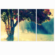 Load image into Gallery viewer, New Oil Picture Tree Painting Modern Art Printed Sunset Canvas Painting HD Wall Picture Home Decor for Living Room No Frame 3pcs
