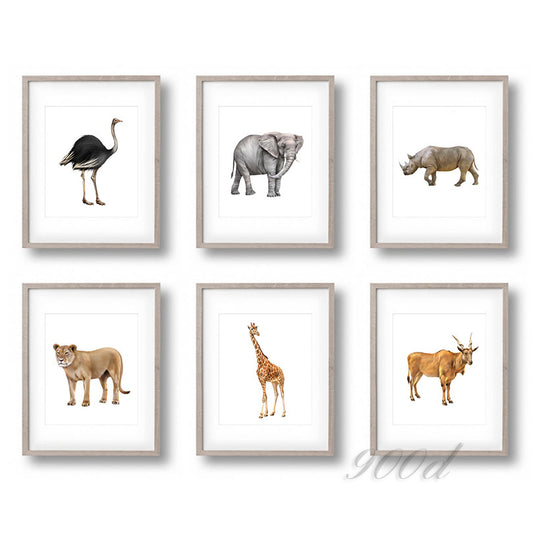 Wild Africa Animals Set Canvas Art Print Painting Poster,  Wall Pictures for Home Decoration, Home Decor FA395