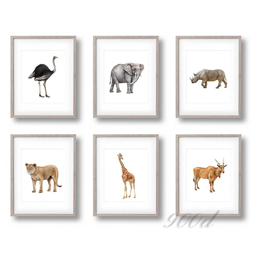 Wild Africa Animals Set Canvas Art Print Painting Poster,  Wall Pictures for Home Decoration, Home Decor FA395