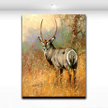 Load image into Gallery viewer, Animal Pronghorn Painting Printed on Canvas Modern Wall Art Picture for Home Living Bedroom Wall Decor
