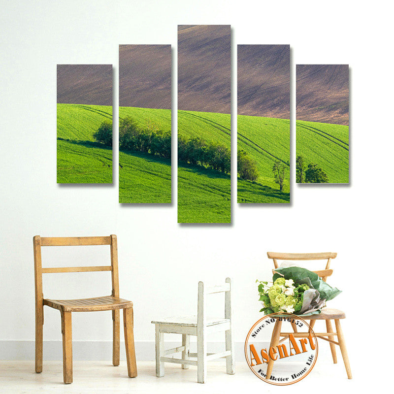5 Panel Grassland Wall Picture Nature Landscape Painting for Living Room Wall Art Canvas Print Unframed