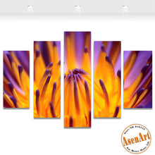 Load image into Gallery viewer, 5 Panel Canvas Art Buds Blossoming Flower Painting Modern Home Decor Canvas Prints Artwork Picture for Bedroom No Frame
