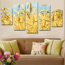 Load image into Gallery viewer, Hot Oil Painting Golden Grain Mural HD Modular Plants Landscape Canvas Picture Art Home Decoration Free Shipping No Frame 5pcs
