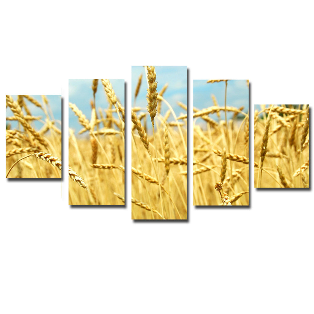 Hot Oil Painting Golden Grain Mural HD Modular Plants Landscape Canvas Picture Art Home Decoration Free Shipping No Frame 5pcs