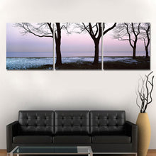 Load image into Gallery viewer, Oil Painting Cuadros Decoracion Wall Art Home Decor Landscape Painting Living Room Picture Print on Canvas (No Frames) 3 Pieces
