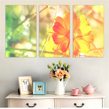 Load image into Gallery viewer, Small Yellow Flower Painting on Canvas Oil Painting Warm Landscape Picture Wall Picture Home Decoration Art Print No Frame 3 Pcs
