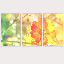 Load image into Gallery viewer, Small Yellow Flower Painting on Canvas Oil Painting Warm Landscape Picture Wall Picture Home Decoration Art Print No Frame 3 Pcs
