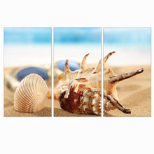 Load image into Gallery viewer, Modern Canvas Pictures Shells Seaview Landscape Beach Wall Posters and Prints Home Decor Oil Paintings for Living Room 3 Pieces
