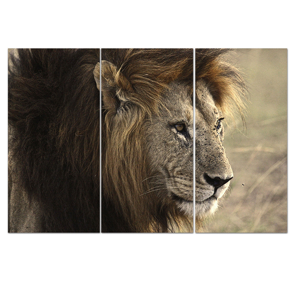 No Frame Animal Oil Painting Lion King Posters Wall Art and Prints Home Decor Mordern Canvas Pictures for Living Room 3 Pieces