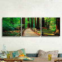 Load image into Gallery viewer, Oil Paintings Canvas Forest Trail Wall Art Decoration Home Decor On Canvas Modern Artwork Wall Pictures For Living Room (3PCS)
