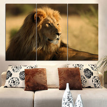 Load image into Gallery viewer, No Frame Lion Canvas Painting Animal Poster Landscape Cuadros Decoration Home Decor Wall Art Canvas Picture for Living Room 3pcs
