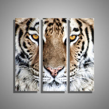 Load image into Gallery viewer, HD Oil Painting Tiger Head Wall Art Home Decor Animal On Canvas Modern Wall Pictures For Living Room Artworks no Frame 3 Pieces

