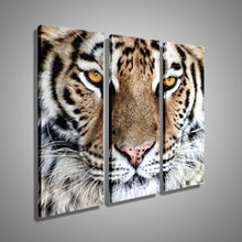 Load image into Gallery viewer, HD Oil Painting Tiger Head Wall Art Home Decor Animal On Canvas Modern Wall Pictures For Living Room Artworks no Frame 3 Pieces
