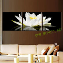 Load image into Gallery viewer, 3 Pcs/Set Canvas Print Flower White Lotus In Black Wall Art Modern Paintings Wall Pictures For Living Room
