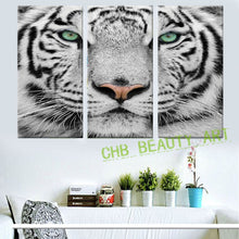 Load image into Gallery viewer, 3 Panels Blue Tiger Eyes Canvas Painting Printed Painting Home Decor Wall Painting Art Wall Pictures For Living Room Unframed
