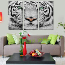 Load image into Gallery viewer, 3 Panels Blue Tiger Eyes Canvas Painting Printed Painting Home Decor Wall Painting Art Wall Pictures For Living Room Unframed
