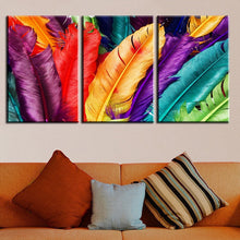 Load image into Gallery viewer, 3 Piece Modern Canvas Wall Art Colored Feathers Oil Painting Picture Print On Canvas For Bedroom Home Decoration No Frame

