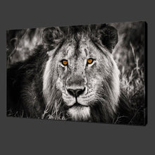 Load image into Gallery viewer, 2016 Oil Painting Hot Sell! Wall Painting Animal And Lion Beautiful Eyes Paint On Canvas Prints Home Decorative Art Picture
