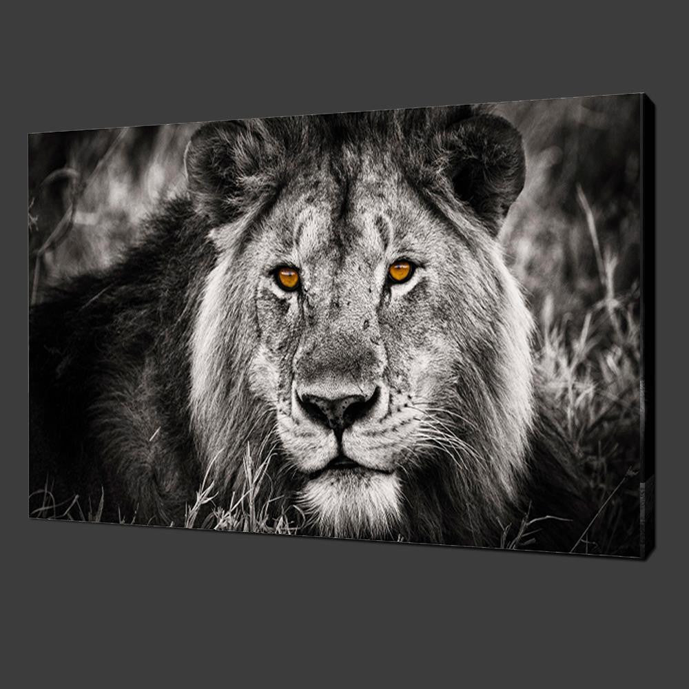 2016 Oil Painting Hot Sell! Wall Painting Animal And Lion Beautiful Eyes Paint On Canvas Prints Home Decorative Art Picture