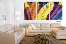 Load image into Gallery viewer, 3 PANELS NEW ARRIVEL HOME DECORATION MODERN CANVAS WALL ART PRINT FRESH COLORED FEATHERS OIL PAINTING PICTURES PAINTING
