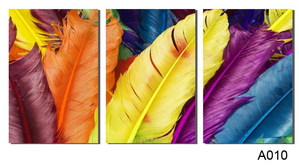 3 PANELS NEW ARRIVEL HOME DECORATION MODERN CANVAS WALL ART PRINT FRESH COLORED FEATHERS OIL PAINTING PICTURES PAINTING