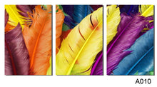 Load image into Gallery viewer, 3 PANELS NEW ARRIVEL HOME DECORATION MODERN CANVAS WALL ART PRINT FRESH COLORED FEATHERS OIL PAINTING PICTURES PAINTING
