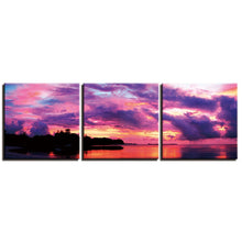Load image into Gallery viewer, Modern Canvas Print Art Wall Picture 3 Panels Scenery Paintings Decor Artwork Canvas Print for Home Office Living Room Bedroom
