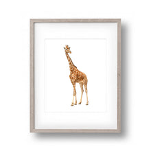 Load image into Gallery viewer, Wild Giraffe Canvas Art Print Painting Poster,  Wall Pictures for Home Decoration, Home Decor FA395-3
