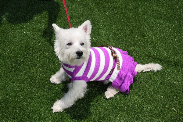 Dog Sweater Stripes Knit Wool Pet Dog Sweaters Cute Spring