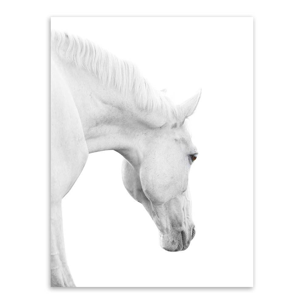 Triptych Modern Minimalist Black White Horse Animal Head Photo  Art Print Wall Picture Canvas Painting Home Decoration No Frame