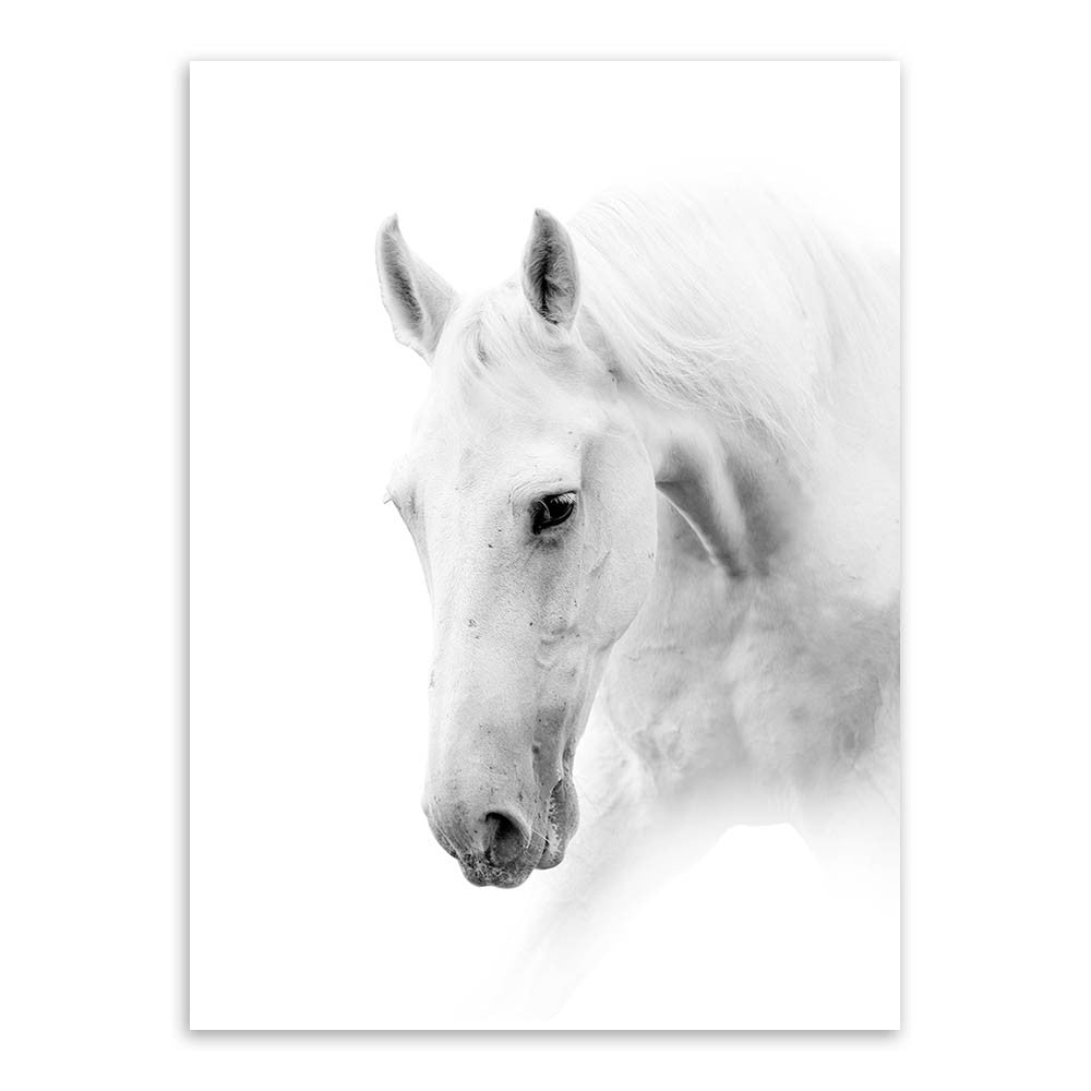 Triptych Modern Minimalist Black White Horse Animal Head Photo  Art Print Wall Picture Canvas Painting Home Decoration No Frame