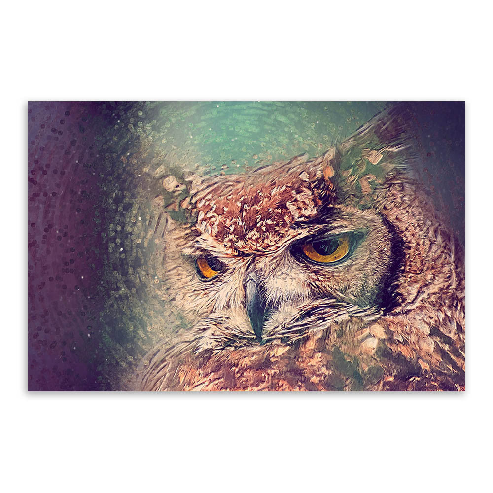 Colorful Impression Animal Head Owl Peacock Crane Art Print Poster Wall Picture Canvas Painting No Framed Home Living Room Deco