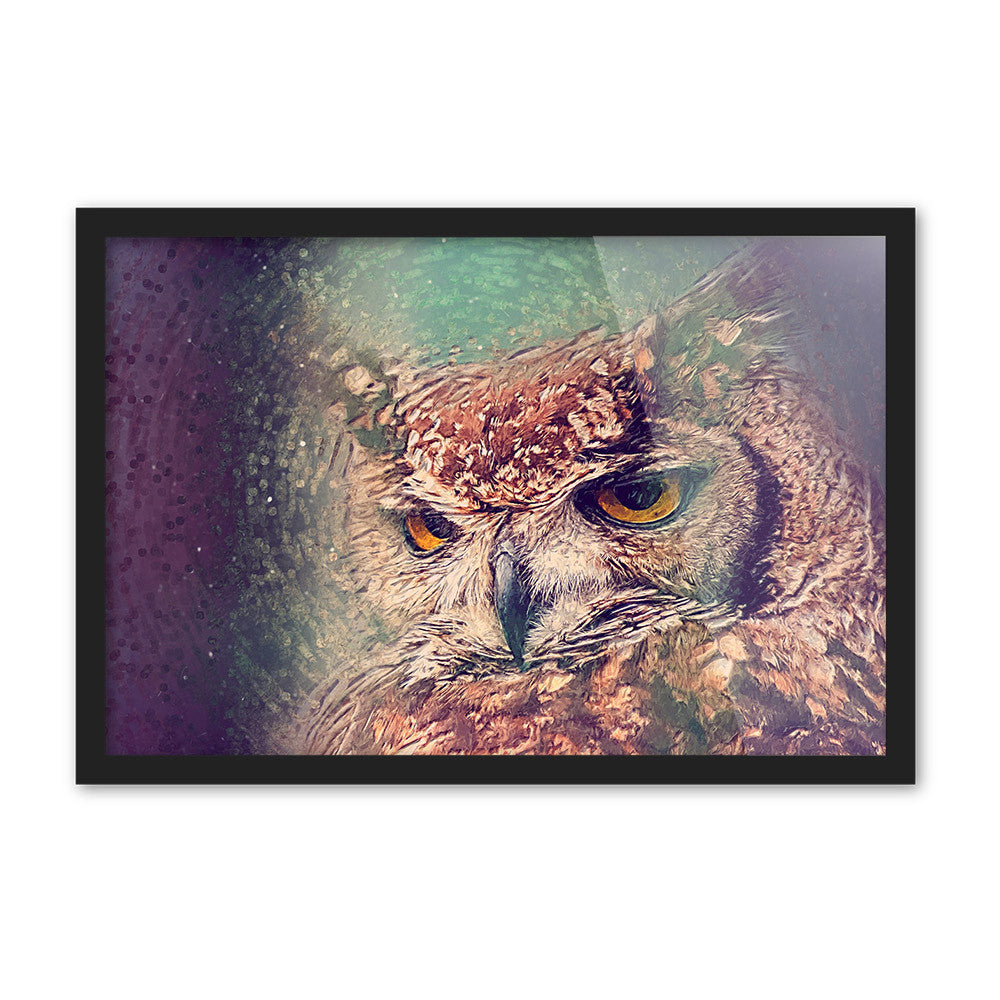 Colorful Impression Animal Head Owl Peacock Crane Art Print Poster Wall Picture Canvas Painting No Framed Home Living Room Deco