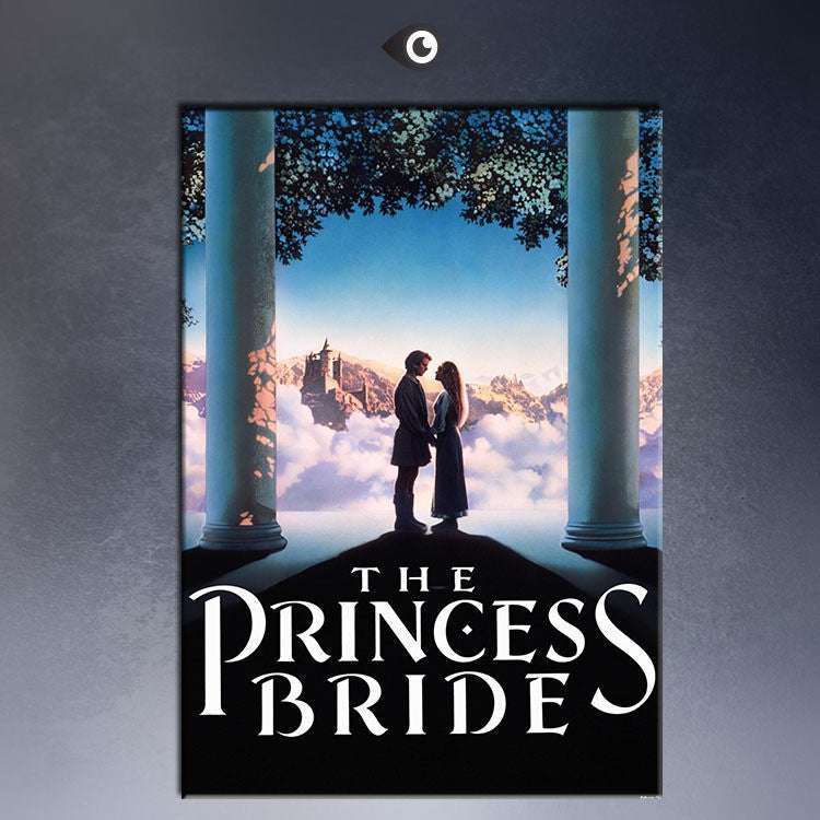 THE PRINCESS BRIDE VIDEO COVER  MOVIE Art Print  poster  on canvas for wall decoration