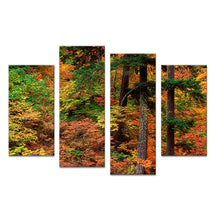 Load image into Gallery viewer, 4PCS nature forest arts landscape Wall painting print on canvas for home decor ideas paints on wall pictures art No framed
